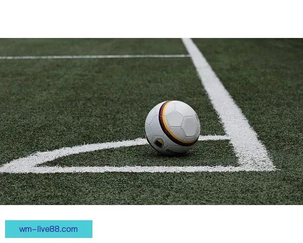 2026世界杯主办城市聚焦下的全球足球盛宴全景解析